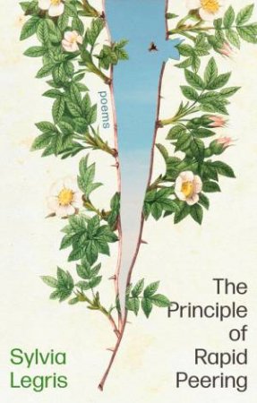 The Principle of Rapid Peering by Sylvia Legris