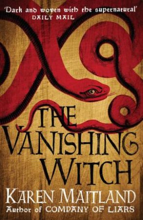 The Vanishing Witch by Karen Maitland