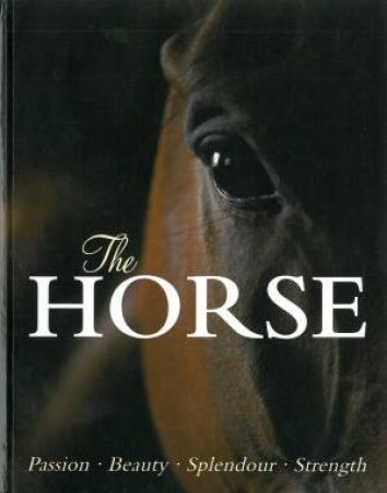 The Horse by Elaine Walker