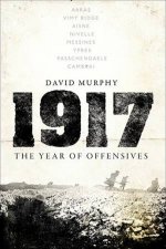 1917 The Year Of Offensives