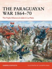The Paraguayan War 186470 The Triple Alliance At Stake In La Plata