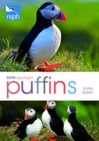 RSPB Spotlight: Puffins by Euan Dunn