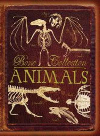 Bone Collection: Animals by Rob Colson