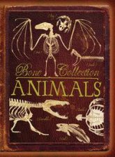 Bone Collection Animals