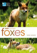 RSPB Spotlight Foxes