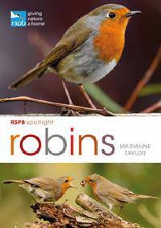 RSPB Spotlight: Robins by Marianne Taylor