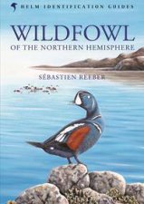 Wildfowl of Europe Asia and North America