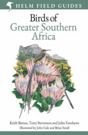 Field Guide to Birds of Greater Southern Africa by Keith Barnes & Terry Stevenson & John Fanshawe