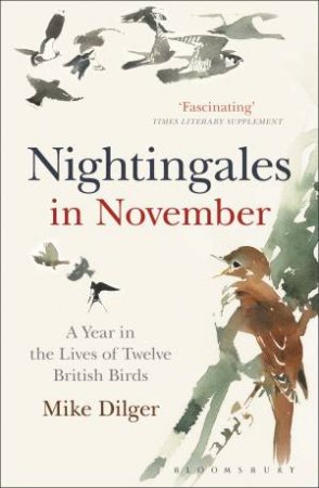 Nightingales In November: A Year In The Lives Of Twelve British Birds by Mike Dilger