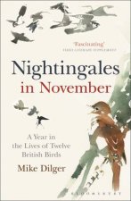 Nightingales In November A Year In The Lives Of Twelve British Birds