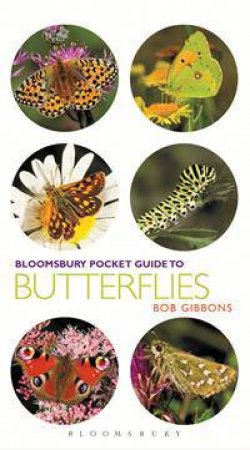 Pocket Guide to Butterflies by Bob Gibbons
