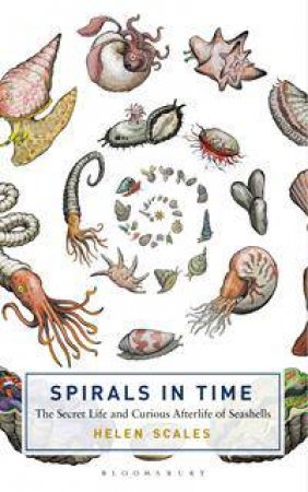 Spirals in Time by Helen Scales