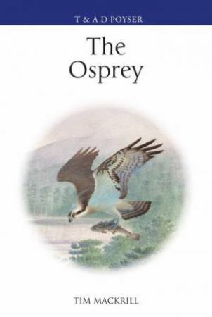 The Osprey by Tim Mackrill
