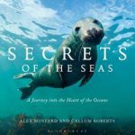 Secrets Of The Seas