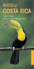 Pocket Photo Guide To The Birds Of Costa Rica