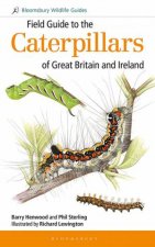 Field Guide To The Caterpillars Of Great Britain And Ireland