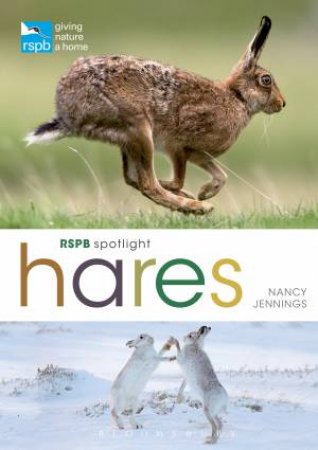 RSPB Spotlight Hares by Nancy Jennings