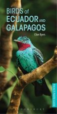 Birds Of Ecuador And Galapagos