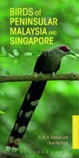 Birds Of Peninsular Malaysia And Singapore