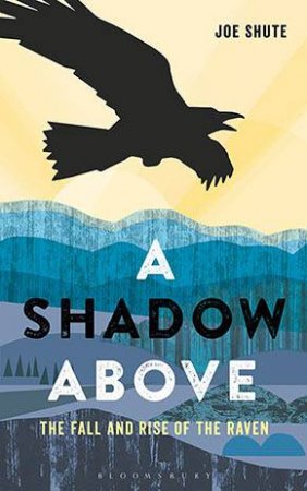 A Shadow Above by Joe Shute