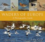 Waders Of Europe