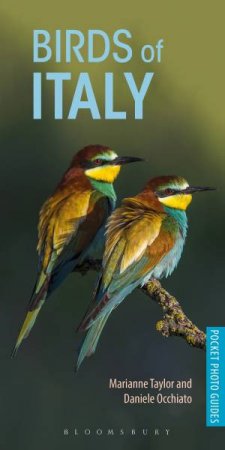 Birds Of Italy by Daniele Occhiato & Marianne Taylor