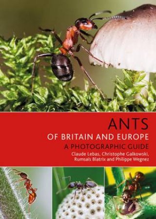 Ants Of Britain And Europe by Various