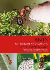 Ants Of Britain And Europe