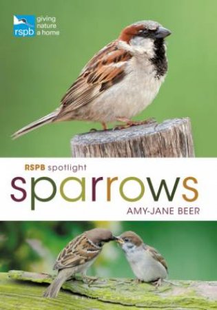 RSPB Spotlight Sparrows by Amy-Jane Beer