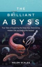 The Brilliant Abyss