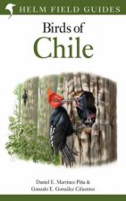 Field Guide To The Birds Of Chile