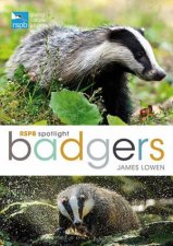 RSPB Spotlight Badgers