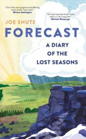 Forecast by Joe Shute