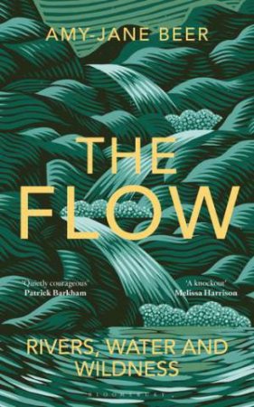 The Flow by Amy-Jane Beer