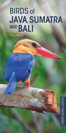 Birds Of Java, Sumatra And Bali by Tony Tilford