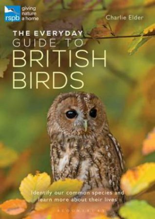 The Everyday Guide To British Birds by Charlie Elder