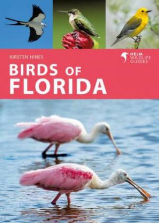 Birds of Florida by Kirsten Hines