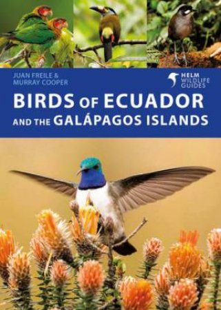 Birds of Ecuador and the Galápagos Islands by Juan Freile & Murray Cooper