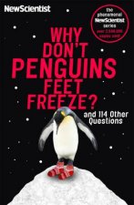 Why Dont Penguins Feet Freeze
