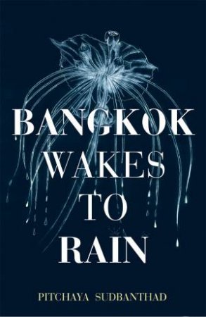 Bangkok Wakes to Rain by Pitchaya Sudbanthad