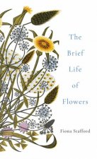 The Brief Life Of Flowers