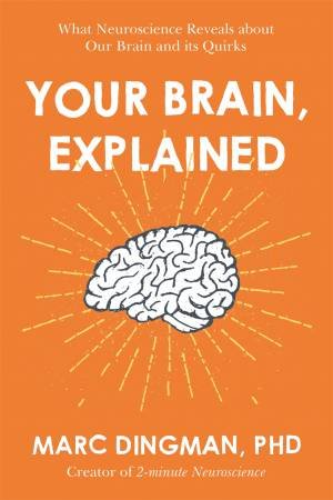 Your Brain, Explained by Marc Dingman