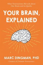 Your Brain Explained