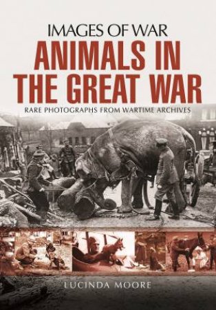 Animals in the Great War by LUCINDA MOORE