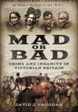 Mad Or Bad Crime And Insanity In Victorian Britain