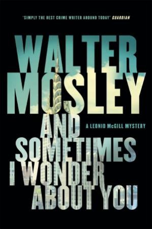 And Sometimes I Wonder About You by Walter Mosley