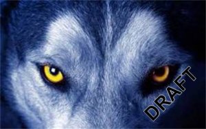 History Of Wolves by Emily Fridlund