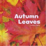Celebrate Autumn Autumn Leaves
