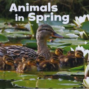 Celebrate Spring: Animals in Spring by Kathryn CLay