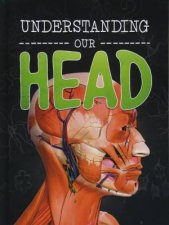 Brains Body Bones Understanding Our Head